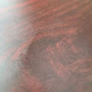 Meet your Posher, Elisa